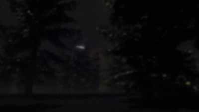 When suddenly, a bright light appears
among the trees. - Top Secret UFO Projects Declassified