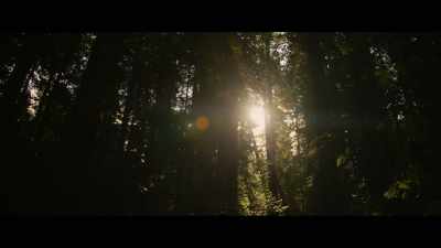 When you take the lifestyle away - Sasquatch