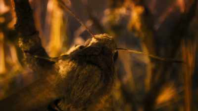 When the bat is patrolling, - Super/Natural
