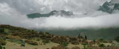 When the black-necked cranes sing, - Lunana: A Yak in the Classroom