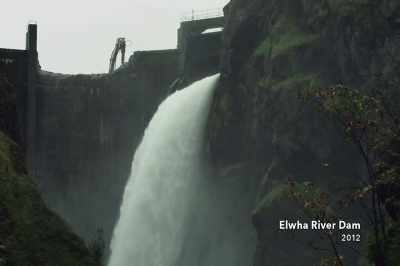 When the dams came down
on the Elwha, - Artifishal