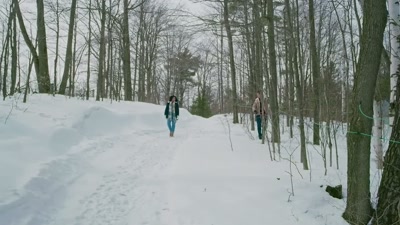 When the daytime temperatures
rise above freezing - Sappy Holiday