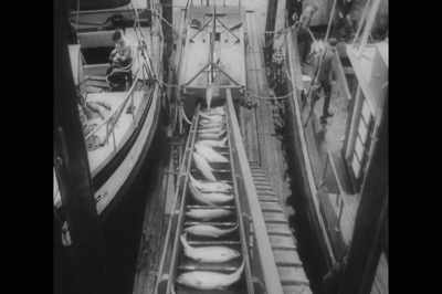 When the Euromericans came, - Artifishal