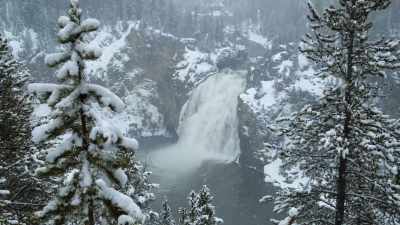 When the expedition was over, - Yellowstone: One-Fifty