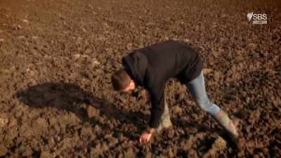 When the fields here are ploughed, - Curse of the Ancients with Alice Roberts