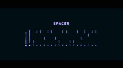 When the invader comes back, - Human Nature