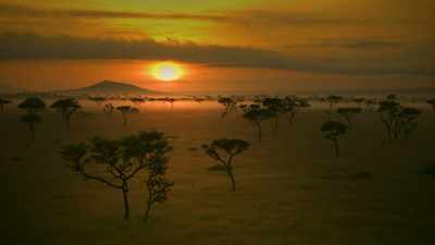 When the leader can
no longer trust his troop, - Serengeti
