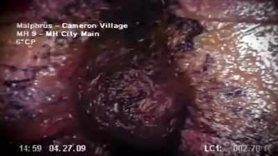 WHEN THE LIGHT FROM THE ROBOT SHINED ON IT, - Strange Evidence