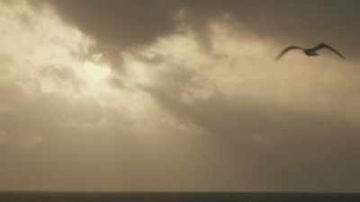 ♪ When the Lord made me ♪ - Roadrunner: A Film About Anthony Bourdain