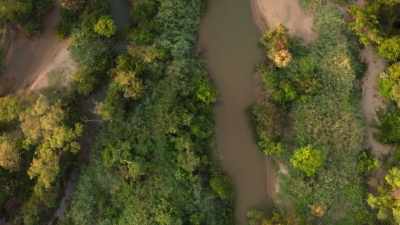When the main flood does arrive, - Our Planet