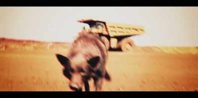 When the movie was out, - Koko: A Red Dog Story