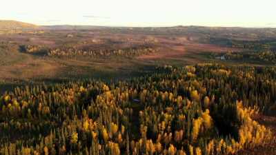 When the National
Guard showed up, - Life Below Zero: Next Generation