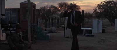 When the night talks to you you gotta listen Wintergreen - Electra Glide in Blue