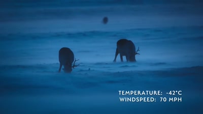 'When the Northern Hemisphere - A Year on Planet Earth