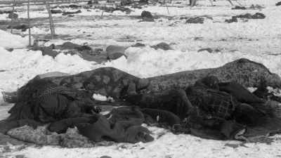 When the shooting stopped,
more than 250 Lakotas-- - The American Buffalo