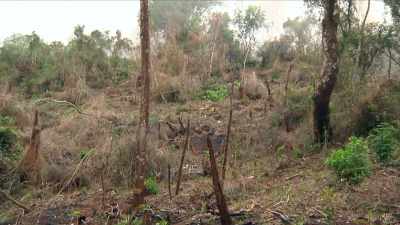 When the soil is depleted
by deforestation and pesticides, - Human: The World Within