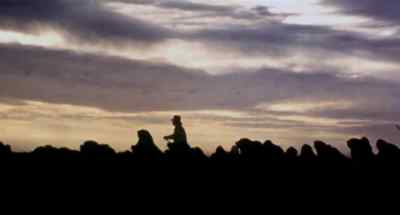When the sun set that evening
and the final herd was rounded up, - Faces of Death