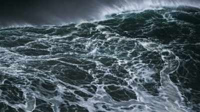 When the swells reach shallower waters, - Blue Planet II
