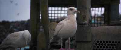 When the time is right for you to give to them - Jonathan Livingston Seagull