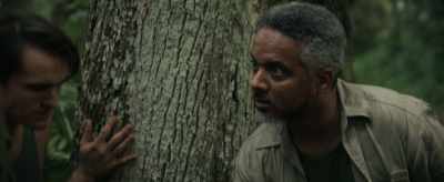 When the tree falls,
you wanna get ready - Megaboa