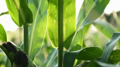 When there are people who
have crop failures and they're
facing very serious problems, - Paris to Pittsburgh