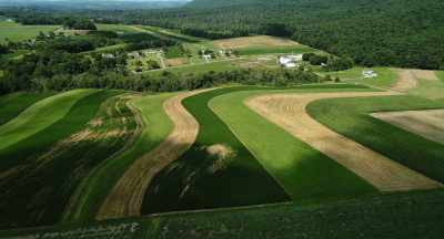 When these farmers
start to adopt - The Pollinators