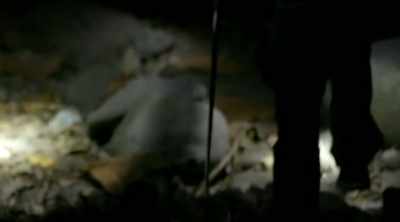 - When these pets get too big, - Kings of Pain