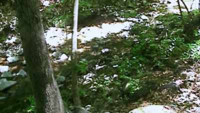 WHEN THEY FOUND HER LEGGINGS, - Chandra Levy: An American Murder Mystery