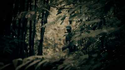 WHEN THEY REACHED THE RIVER,
THEY SUDDENLY STUMBLED ACROSS - Expedition Mungo