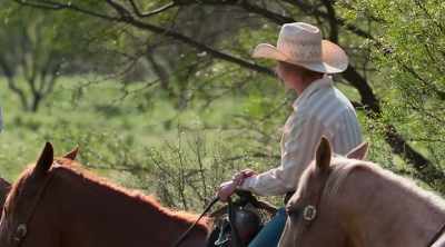 When things go wrong with cows,
sometimes it'll escalate. - How to Be a Cowboy