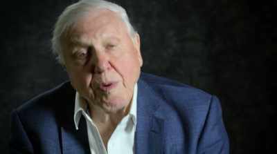 When you think about it,
we're completing a journey. - David Attenborough: A Life on Our Planet