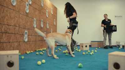 When we think about our dogs, - Inside the Mind of a Dog