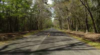 When they told me hit and
run, I said, "That's impossible." - Murdaugh Murders: Deadly Dynasty