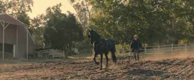 When she told me it was impossible
to break a mustang's spirit... - Black Beauty