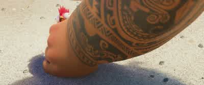When you use a bird to write withit's called tweeting - Moana