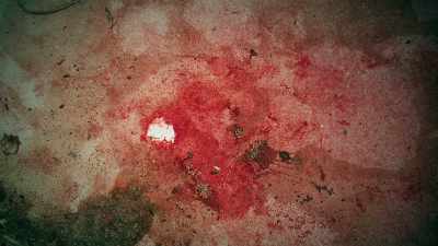 When he used the knife,
it gets slimy with blood. - Homicide Hunter: Devil in the Mountains