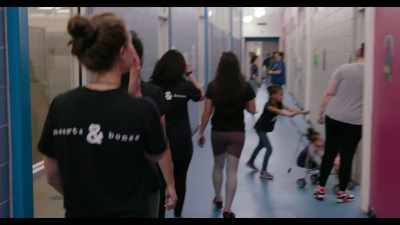 When you walk into a shelter, - Dogs