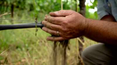 When you walk into a vineyard,
why this soil's different
from that soil, - Tin City