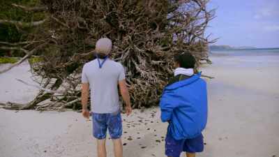 WHEN WAS THIS AN INTACT
ISLAND WITH HOMES ON IT? - Before the Flood