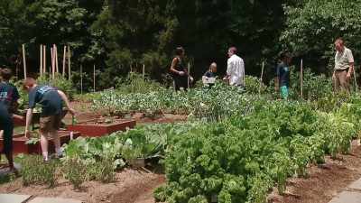 When we were doing
our first planting, - First Ladies