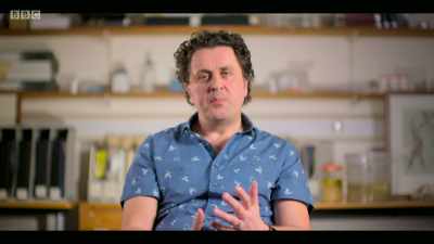 When we had her blubber levels
analysed for PCBs, - Extinction: The Facts