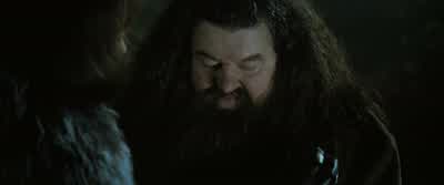 When we spoke earlier, you sounded so... - Harry Potter and the Goblet of Fire