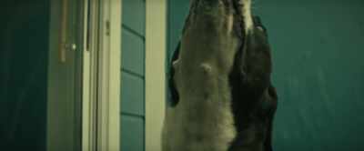 When we were standing in
the hallway talking this thing, - The Unbinding