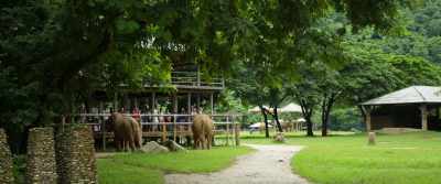When we, as travellers,
begin to demand this, - The Last Tourist