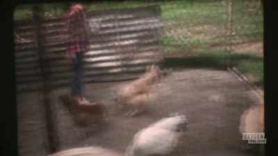 When we was younger, me and
 my brothers and cousins, - The Pike County Murders: A Family Massacre