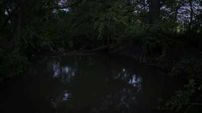 When we went down there
to ask Sheriff Stites - Unsolved Mysteries