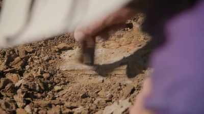 WHEN YOU HAVE
THE NATURAL END OF SOMETHING, - Dino Hunters