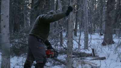 When you'’re using chainsaws,
the more you learn about how - Life Below Zero: Next Generation