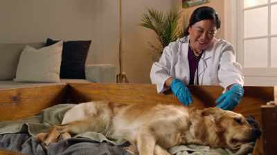 Whenever you have
any concerns, call me, okay? - Everything Puppies