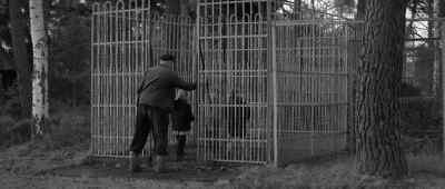 Whenever I'd cry - The 400 Blows